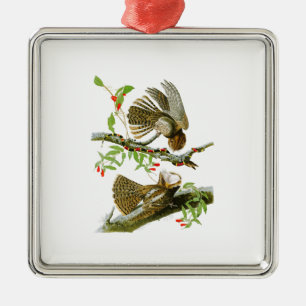 Chuck-will's Widow John Audubon Birds of America Metal Ornament