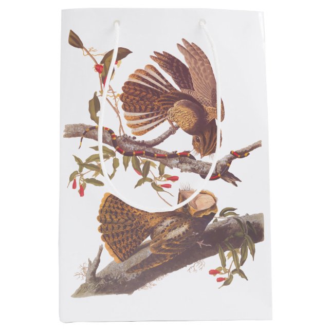 Chuck Will's Widow Nightjar with Coral Snake Medium Gift Bag (Front)