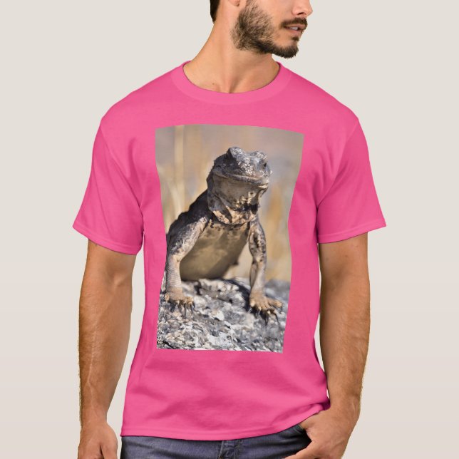 Chuckwalla On Watch Active T-Shirt (Front)