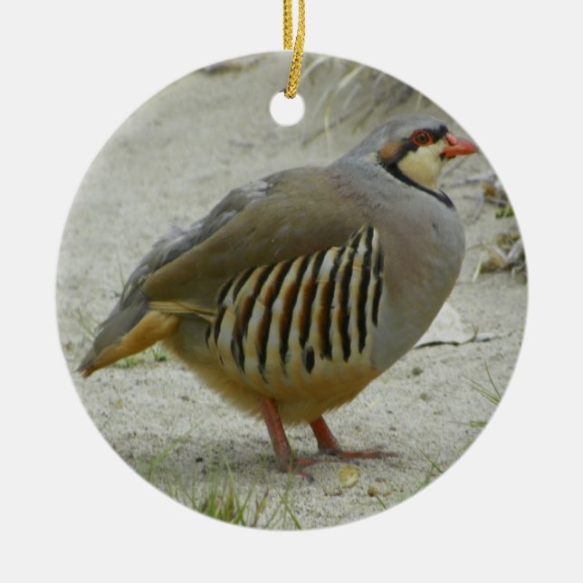 Chukar Partridge Ceramic Ornament (Front)