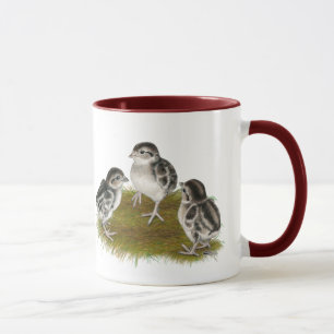 Chukar Partridge Chicks Mug