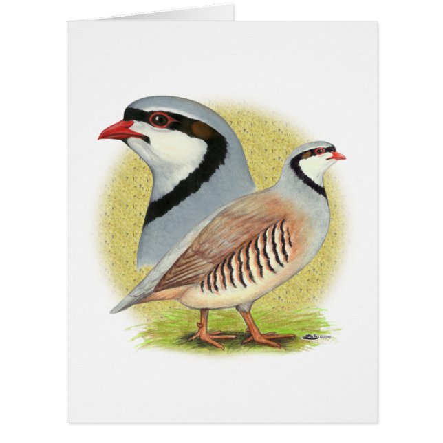 Chukar Partridge Combo (Front)