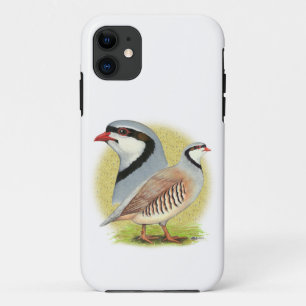 Chukar Partridge Combo iPhone 11 Case