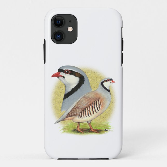 Chukar Partridge Combo Case-Mate iPhone Case (Back)