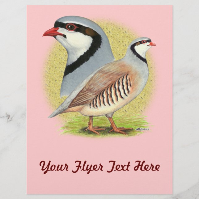 Chukar Partridge Combo Flyer (Front)