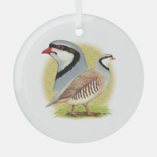 Chukar Partridge Combo Glass Ornament