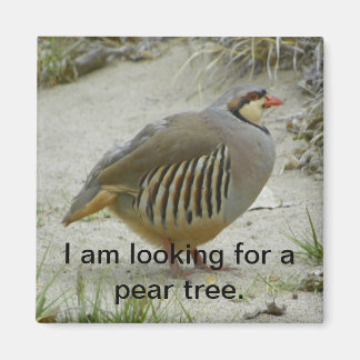 Chukar Partridge game bird hunting sport Magnet