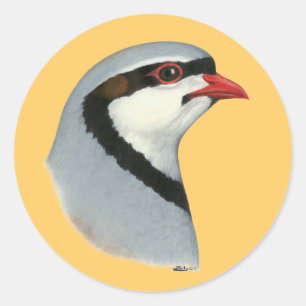 Chukar:  Partridge Head Classic Round Sticker