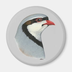 Chukar:  Partridge Head Magnet