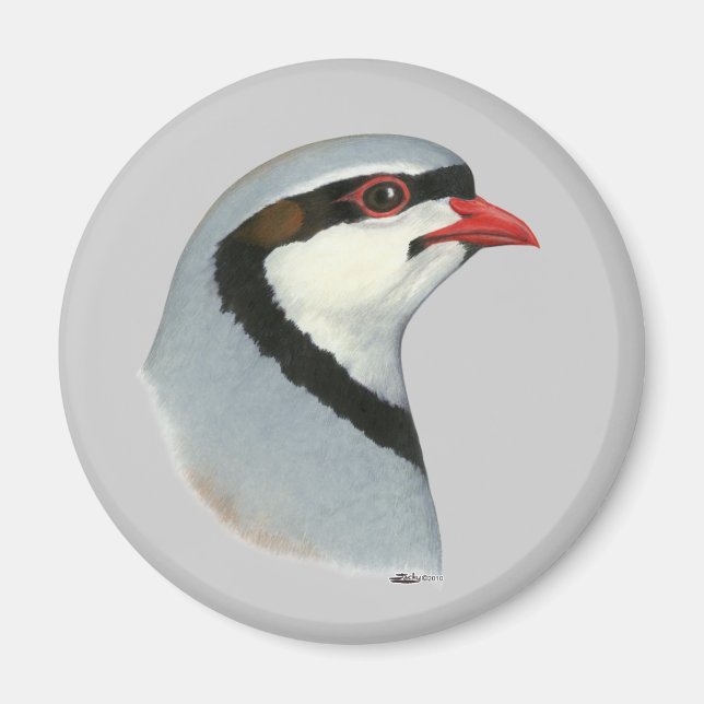 Chukar:  Partridge Head Magnet (Front)