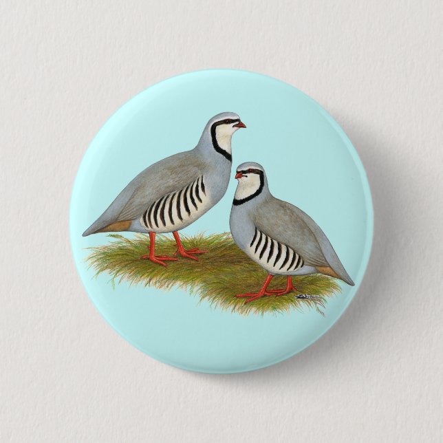 Chukar Partridge Pair 2 Inch Round Button (Front)