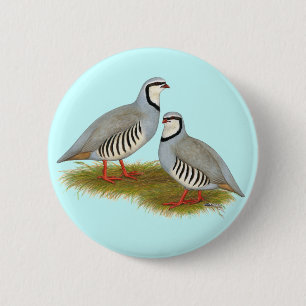 Chukar Partridge Pair 2 Inch Round Button
