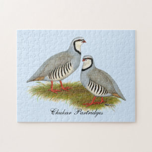 Chukar Partridge Pair Jigsaw Puzzle