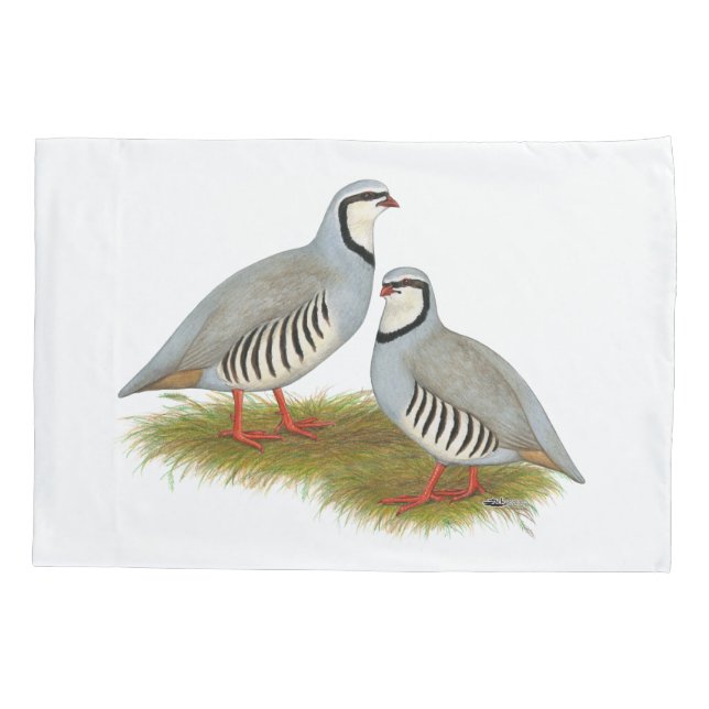 Chukar Partridge Pair Pillowcase (Back)