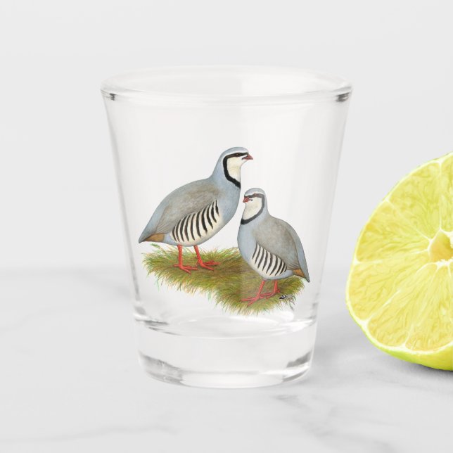 Chukar Partridge Pair Shot Glass (Front)