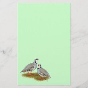Chukar Partridge Pair Stationery