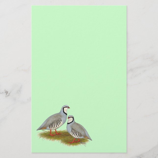 Chukar Partridge Pair Stationery (Front)
