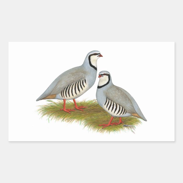 Chukar Partridge Pair Sticker (Front)
