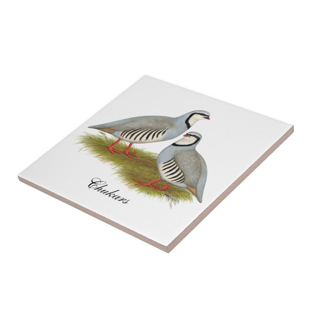 Chukar Partridge Pair Tile (Side)