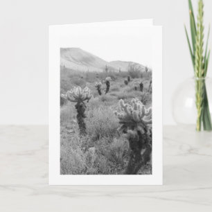 Chumping Cholla Cactus Desert Carte de voeux photo