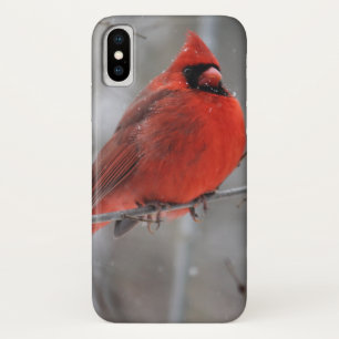 Chunky Bright Red Male Cardinal in Winter Snow Case-Mate iPhone Case