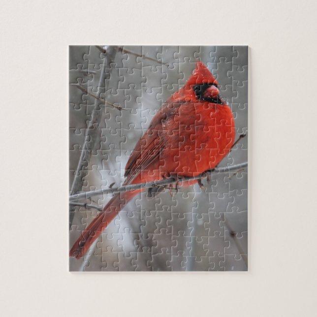 Chunky Bright Red Male Cardinal in Winter Snow Jigsaw Puzzle (Vertical)