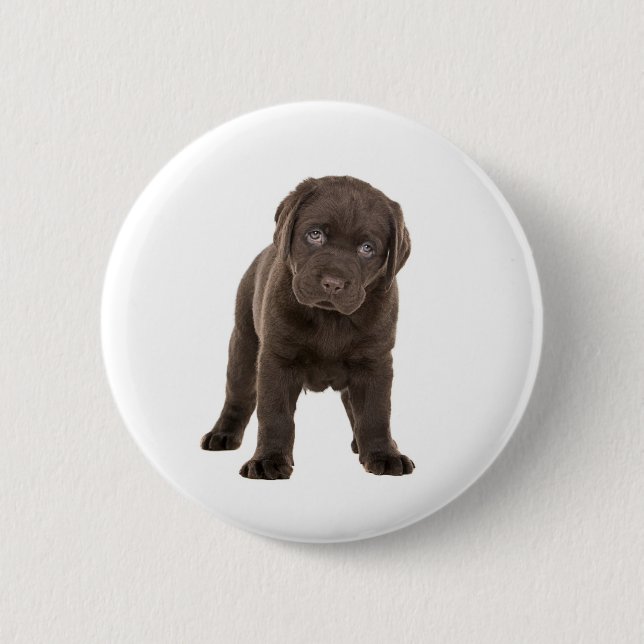 Chunky Chocolate Labrador Puppy 2 Inch Round Button (Front)