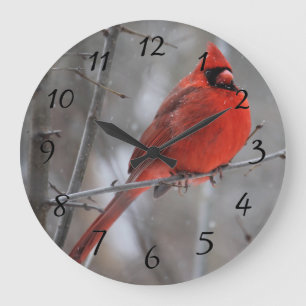 Chunky Red Male Cardinal on Branch in Winter Snow Large Clock