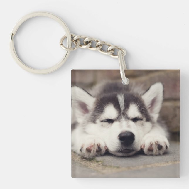 Chuppy Husky Sleeping (Devant)