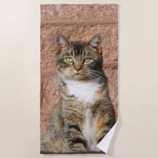 Church Cat Beach Towel (Front)