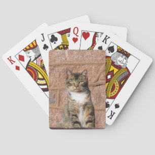 Church Cat Playing Cards