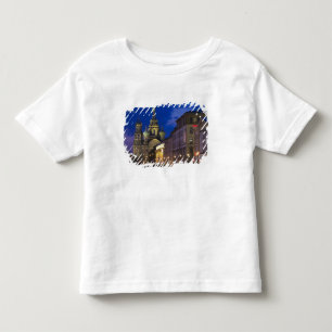 Church of the Saviour of Spilled Blood Toddler T-shirt