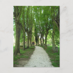 Church path postcard