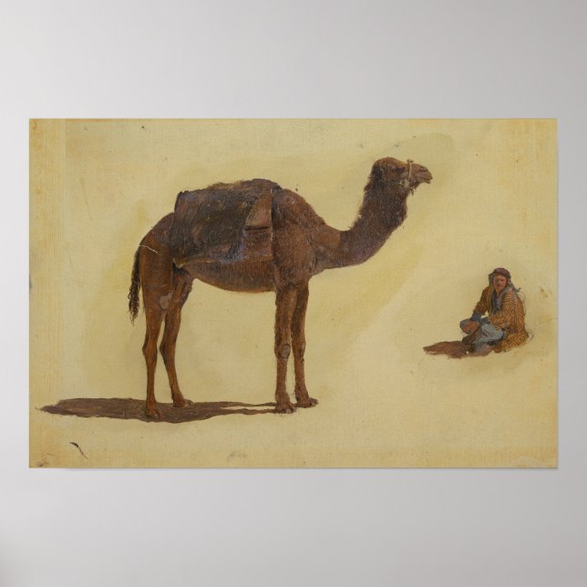 Church - Study Of A Dromedary 1868 Poster (Front)