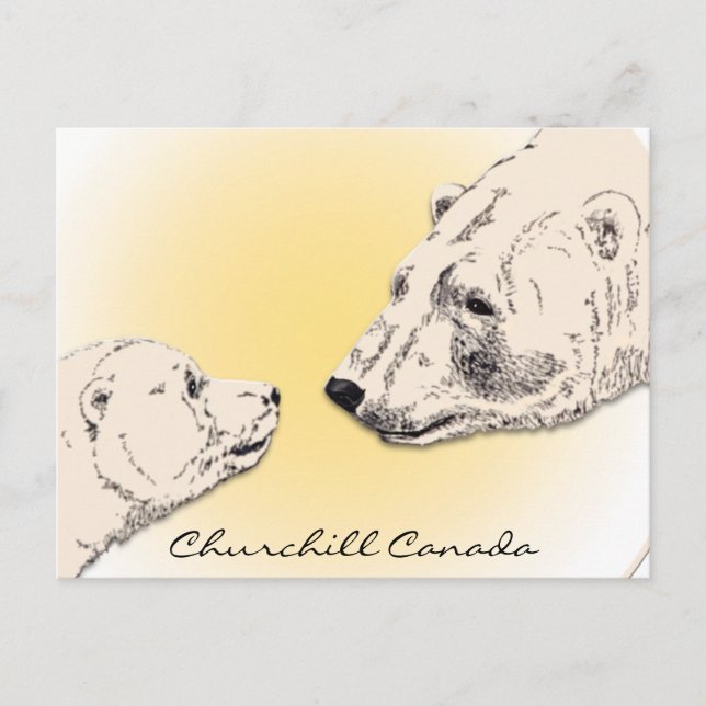 Churchill Canada Postcard Polar Bear Art Cards (Front)