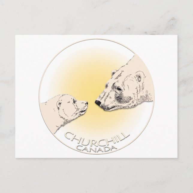 Churchill Canada Postcard Polar Bear Art Cards (Front)