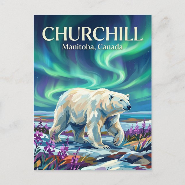 Churchill Polar Bears Canada Postcard (Front)