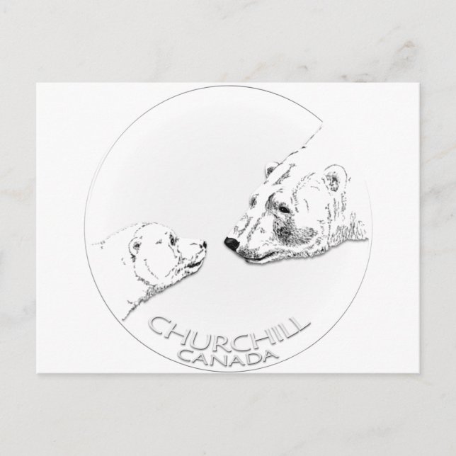 Churchill Souvenirs Polar Bear Art Shirts & Gifts Postcard (Front)