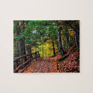 Chute dans le puzzle de la Nouvelle Angleterre