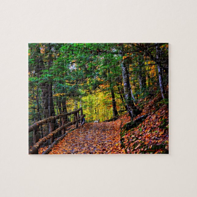 Chute dans le puzzle de la Nouvelle Angleterre (Horizontal)