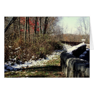 Chute de neige sur le Cherohala