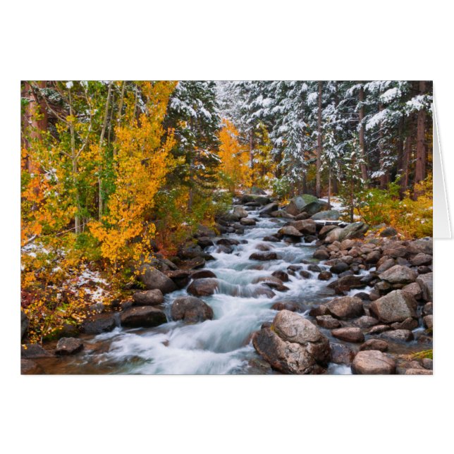 Chute le long du ruisseau Bishop, Californie (Devant horizontal)