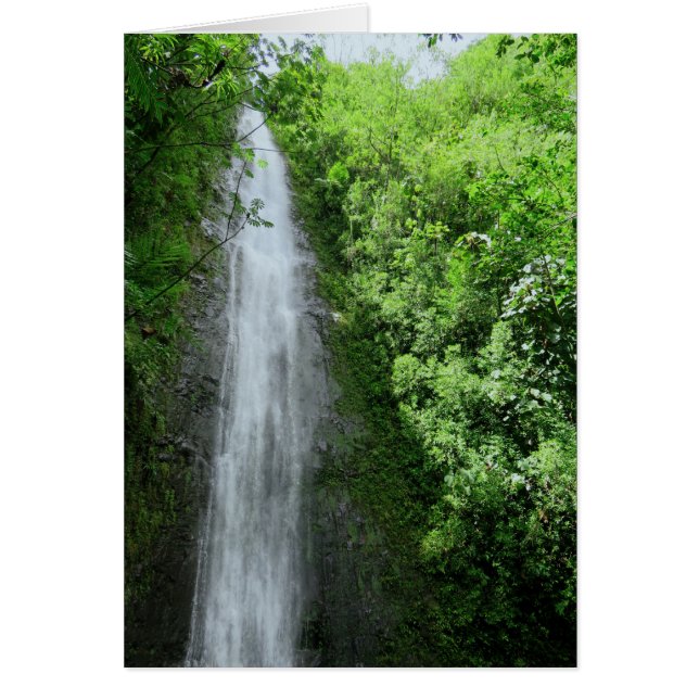 Chutes de Manoa (Devant)