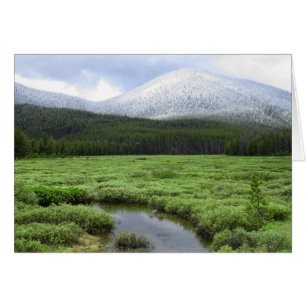 Chutes de neige de montagne de l'Idaho