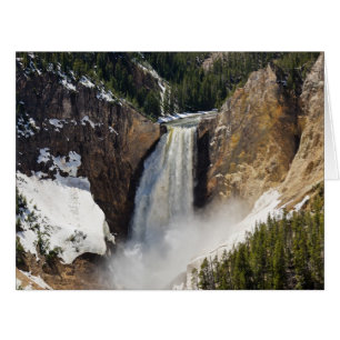 Chutes inférieures du Yellowstone