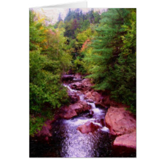 Chutes Woodland