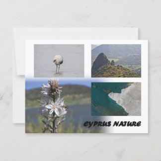 Chypre nature Carte postale