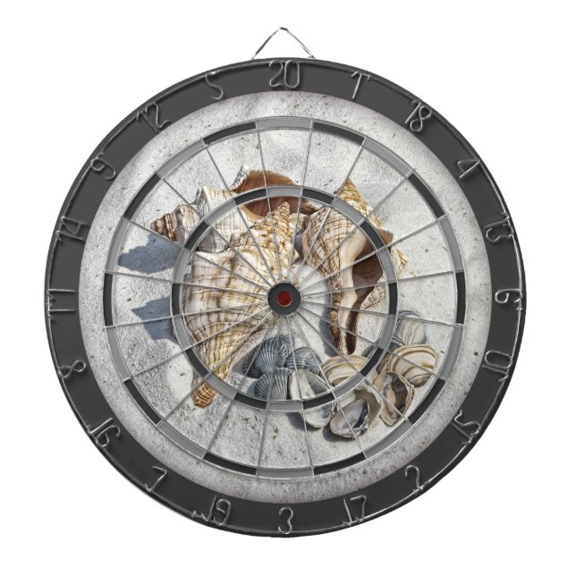 Cible De Fléchettes A Collection of Seashells on Sand (Devant)