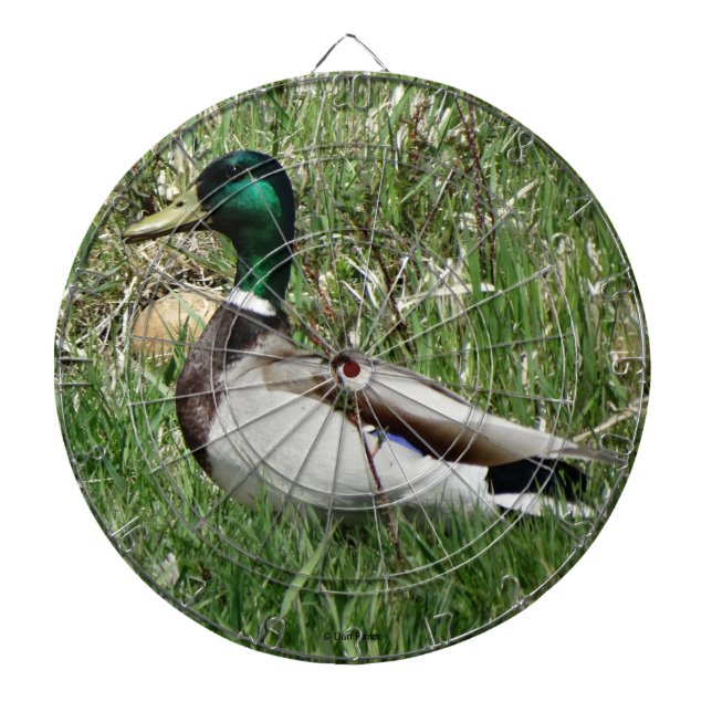 Cible De Fléchettes B55 Duck de Mallard Drake Greenhead dans l'herbe (Devant)