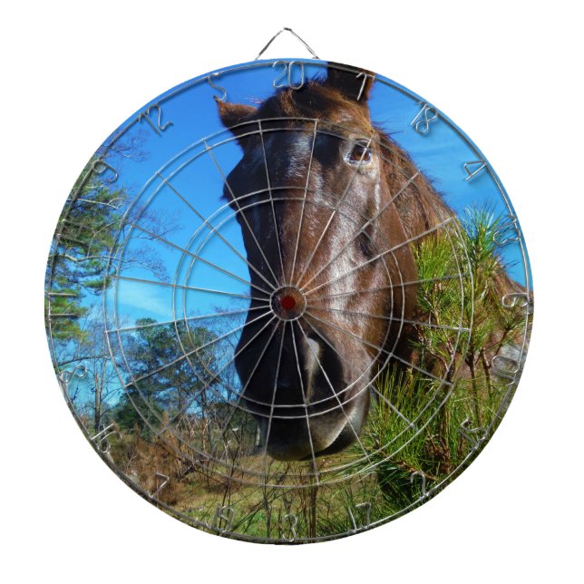Cible De Fléchettes Brown et crème Couleur Cheval bleu ciel (Devant)